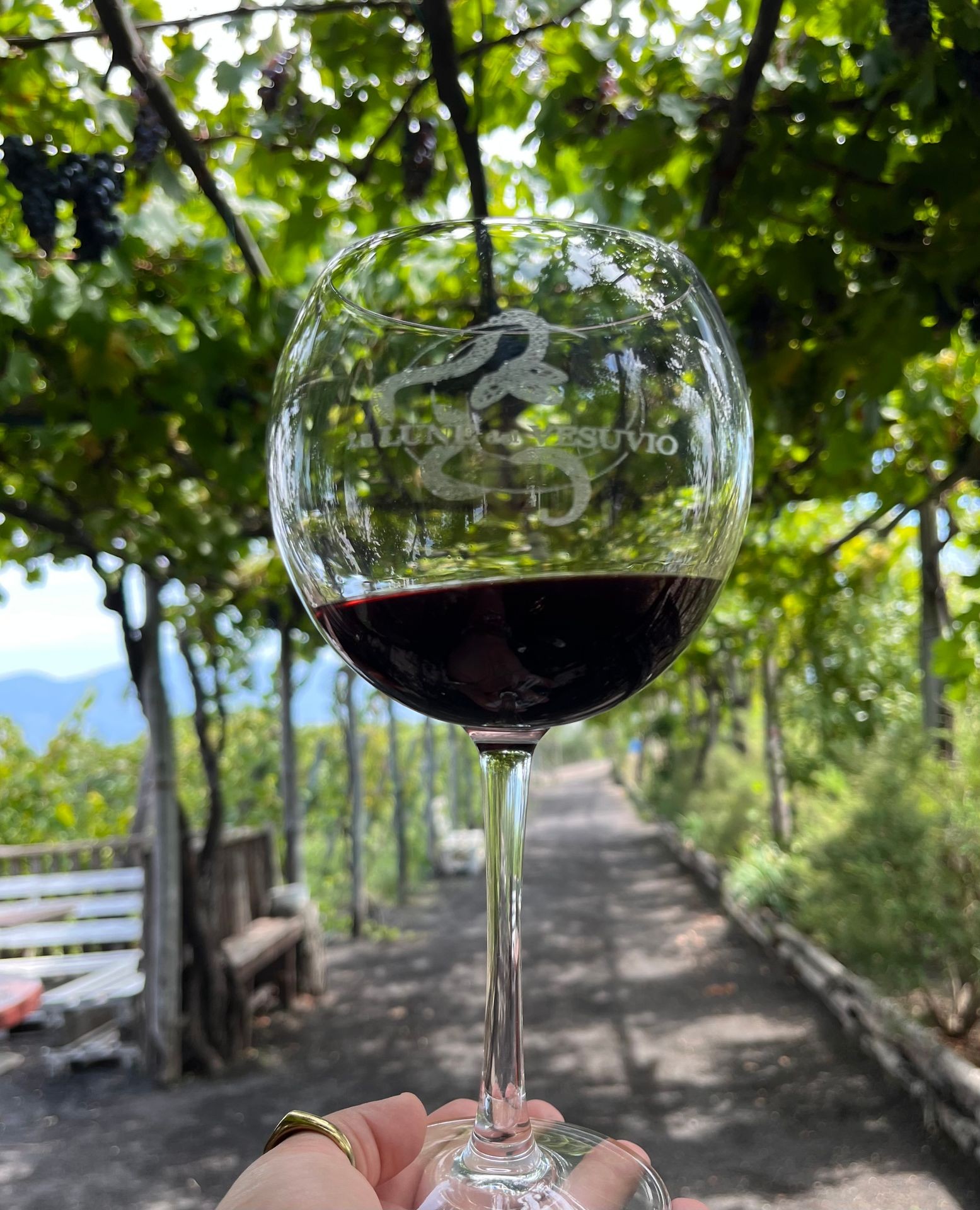 Wine Tasting Excursions